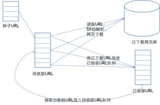 03 前驱版本，科技发展脉络中的重要基石